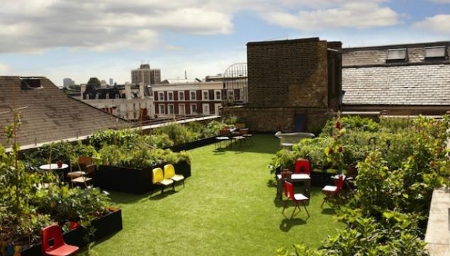 Dalston Roof Park 