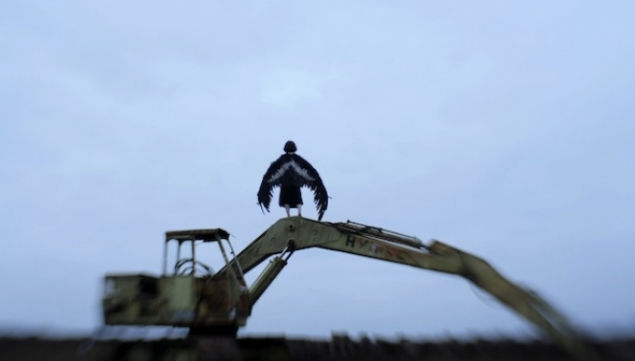 Michael Keegan-Dolan Swan Lake photo Colm Hogan