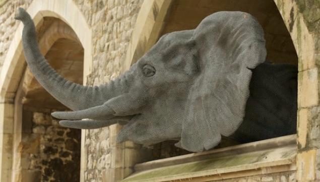 Animals at the Tower, Tower of London