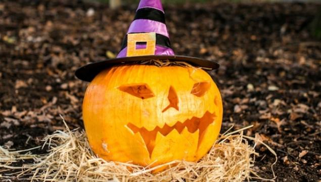 Family Halloween 2016, Horniman Museum 