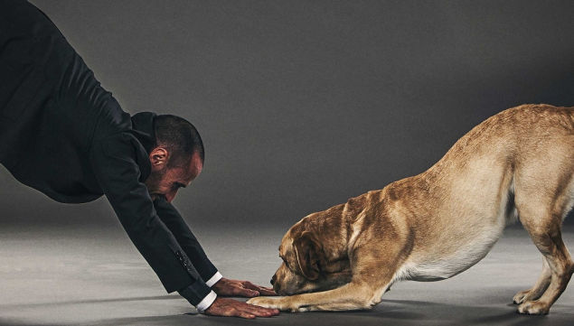 Downward Facing Dog at Ethos Spitalfield's Studio