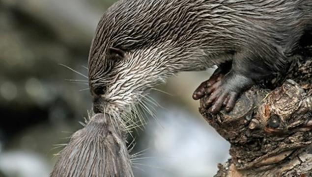 Half term at the Wetland Centre