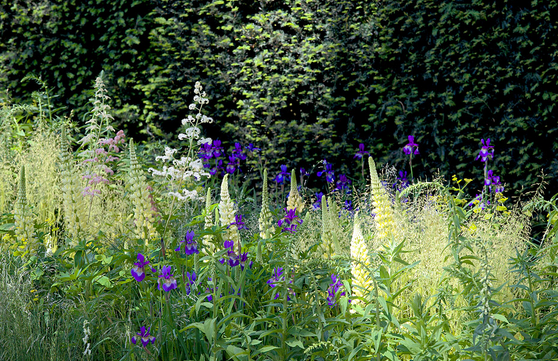 The Laurent-Perrier Garden, designed by Luciano Giubbilei, won Best Show Garden