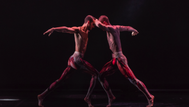 BalletBoyz, Fourteen Days, photo Panayiotis Sinnos