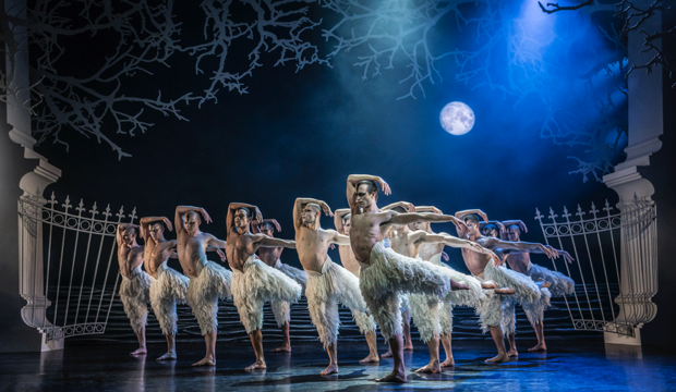 Matthew Ball as The Swan and Ensemble, photo Johan Persson