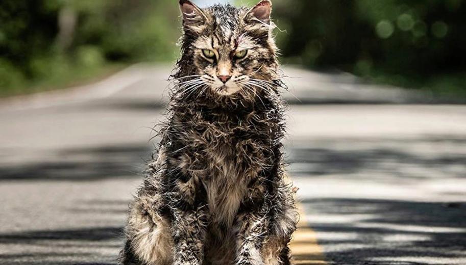 Pet Semetary Stephen King’s terrifying horror is resurrected in