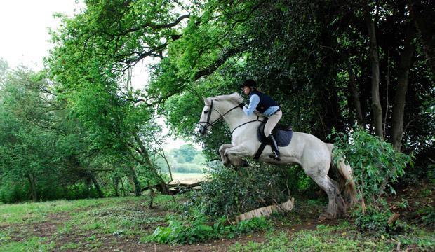 Get back in the saddle at Riding Club London