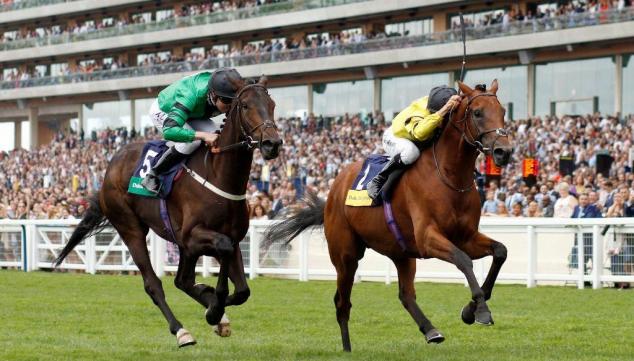 Dubai Duty Free Shergar Cup & Concert, Ascot