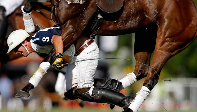 'Polo Fall', 2014, Sports Action, 1st prize singles, Emiliano Lasalvia