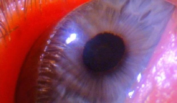 Pipilotti Rist, Worry Will Vanish Horizon (video still), 2014 Video audio installation, Hauser & Wirth