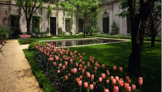 Seventieth Street Garden. Photograph © The Frick Collection