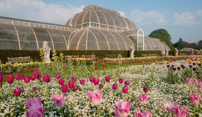 best time to visit kew gardens in spring