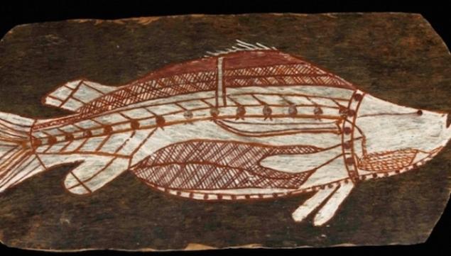 Bark painting of a Barramundi, Western Arnherm Land, about 1961. 