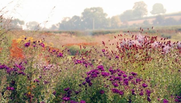 Hauser and Wirth Somerset Garden: day trips from London 