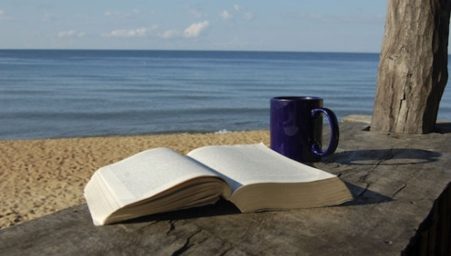 What to read on summer holiday 2015