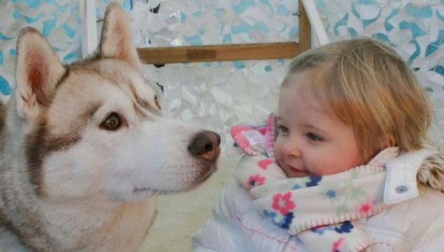 Santa's Grotto and Husky Sleigh Rides, WWT London Wetland Centre 