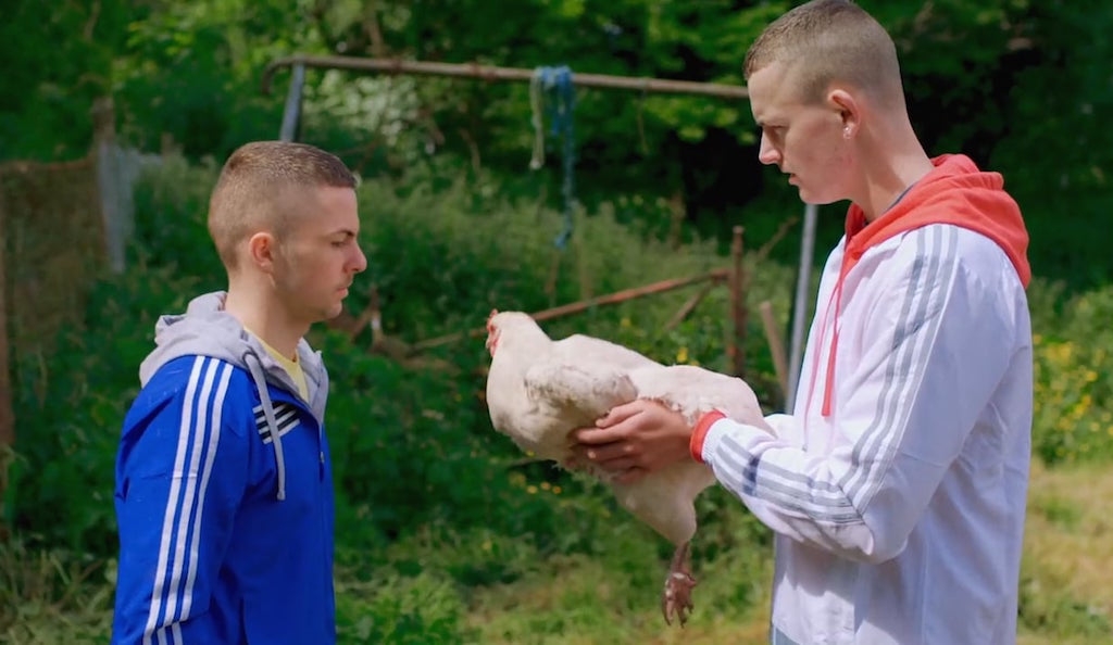 The Young Offenders Film Review Culture Whisper