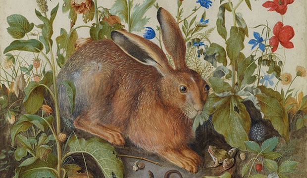 Hans Hoffmann's hirsute hare