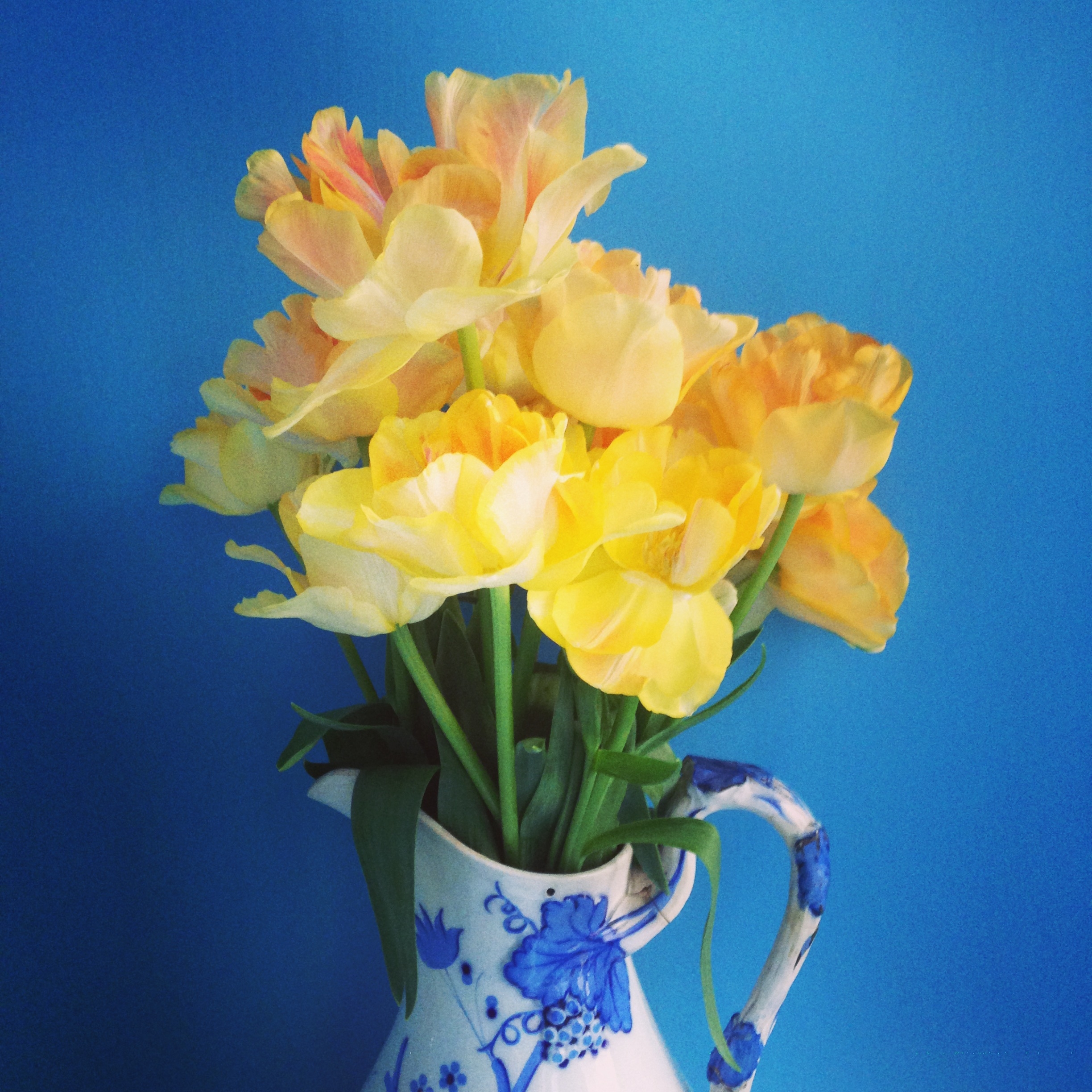 You read it here first: fringed tulips are having a moment