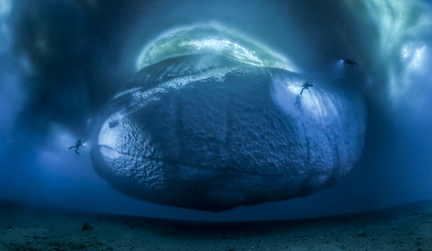 The ice monster, Laurent Ballesta, France