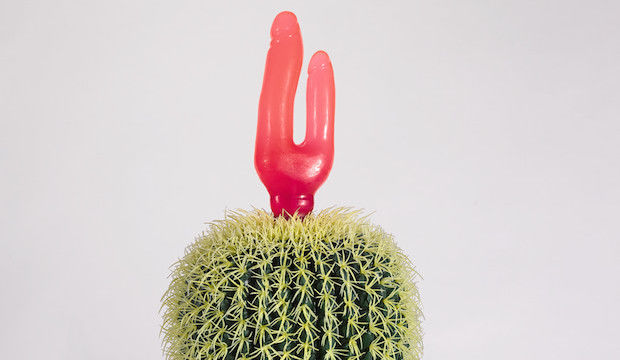 Renate Bertlmann, Cactus, 1999