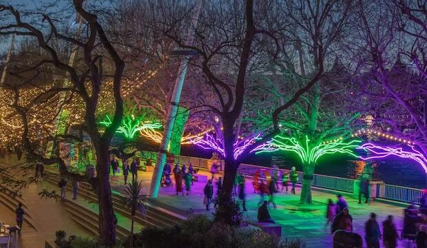 Winter Light on the South Bank 